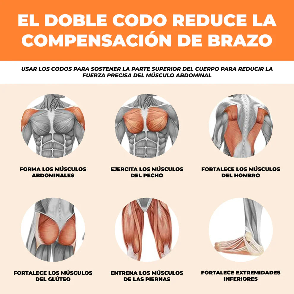 Rueda Abdominal Automatica